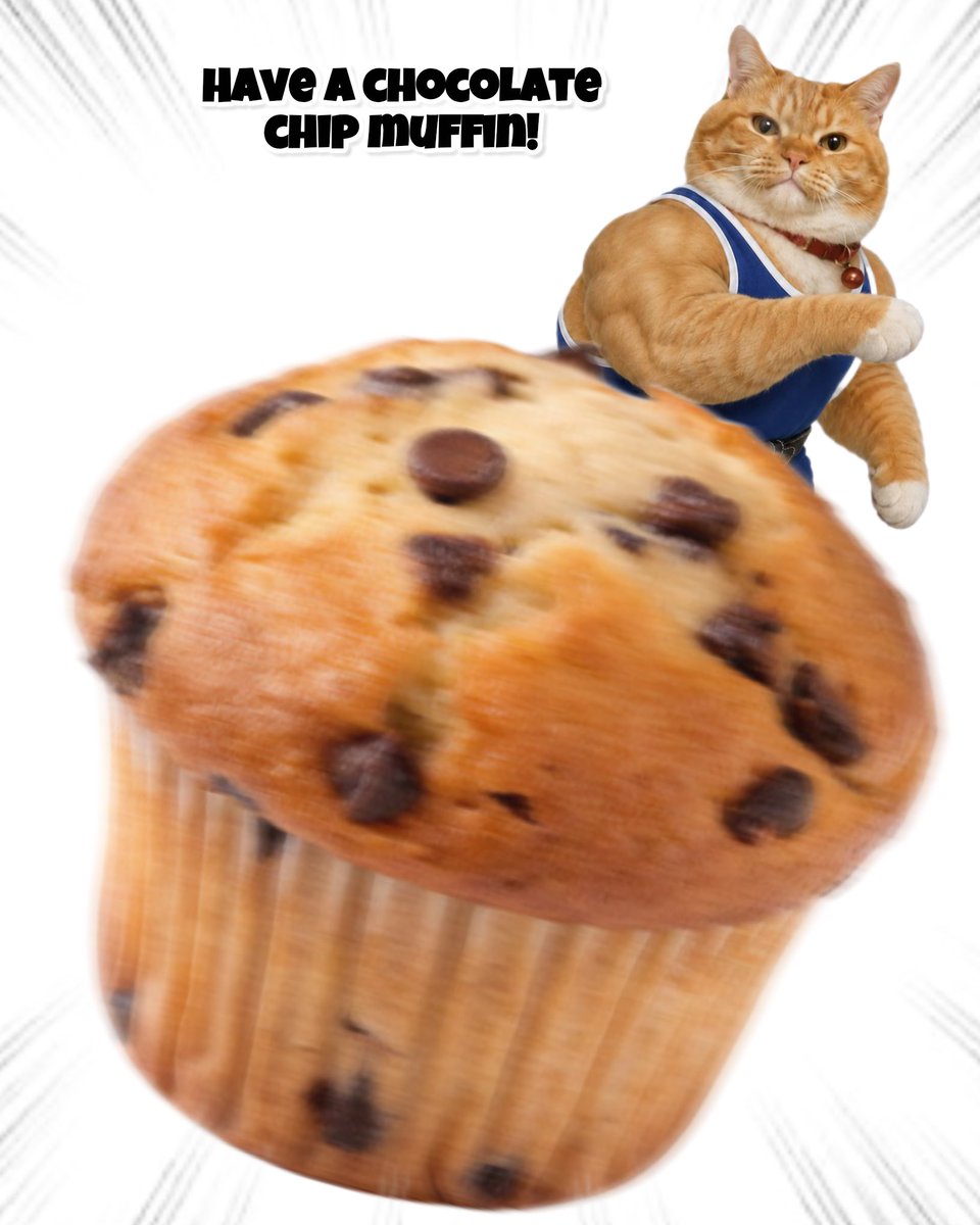 ThrowingObjects's tweet photo. Have a Chocolate Chip Muffin! https://t.co/PgQJo89dFF