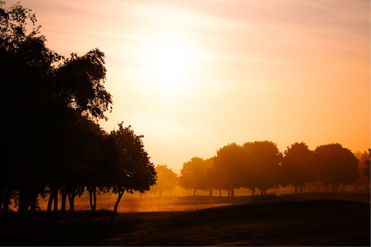 formbyhall's tweet photo. Autumn days at Formby Hall. 🍂

Play a round of golf, unwind in the spa, stay the night or enjoy something delicious at the Fairway Grill. Make Formby Hall part of your autumn plans.

#FormbyHall #Golf #Spa #FairwayGrill #AutumnEscape https://t.co/NFUOt279xx