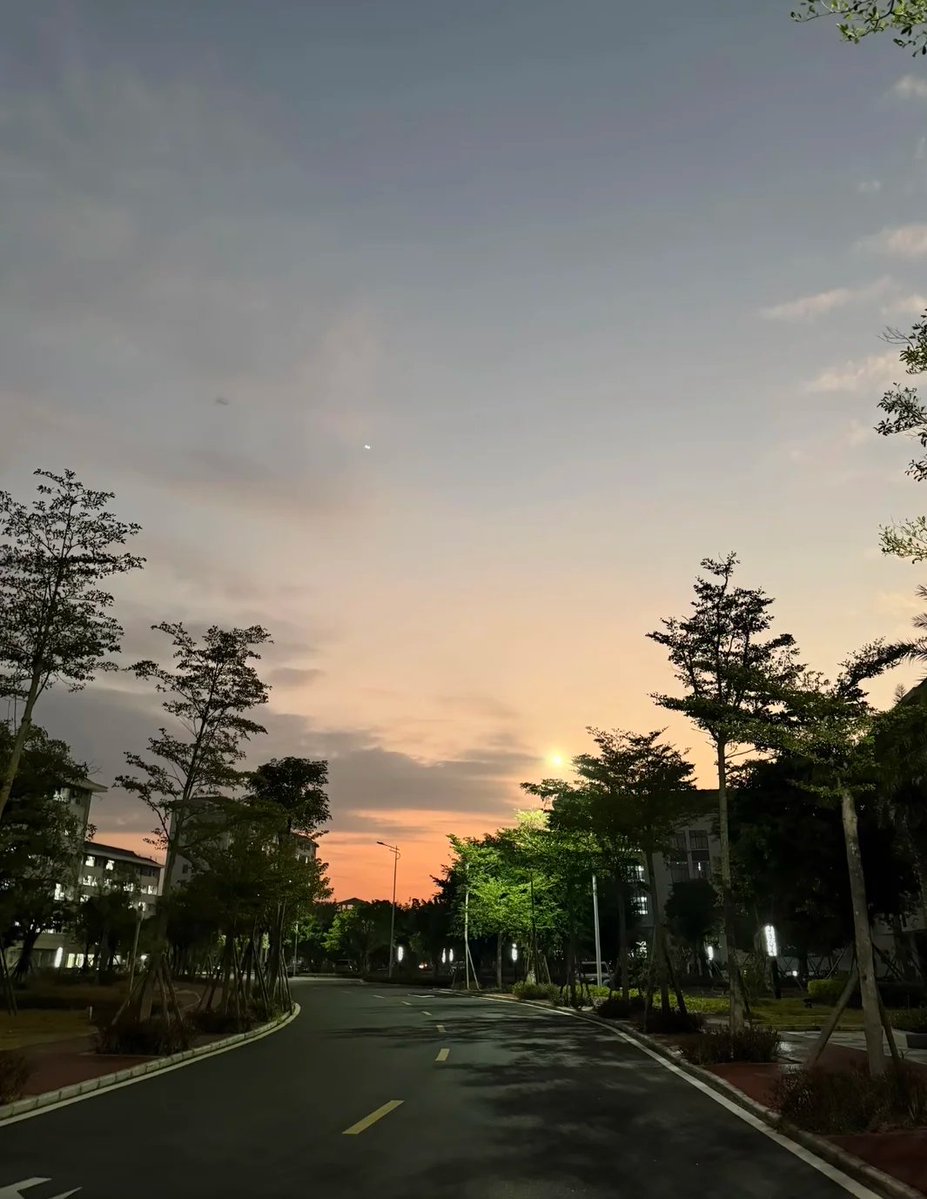 Rob_ertong's tweet photo. 夜が明け、散歩は始まったばかりだった。 https://t.co/qA8v0R4iZd