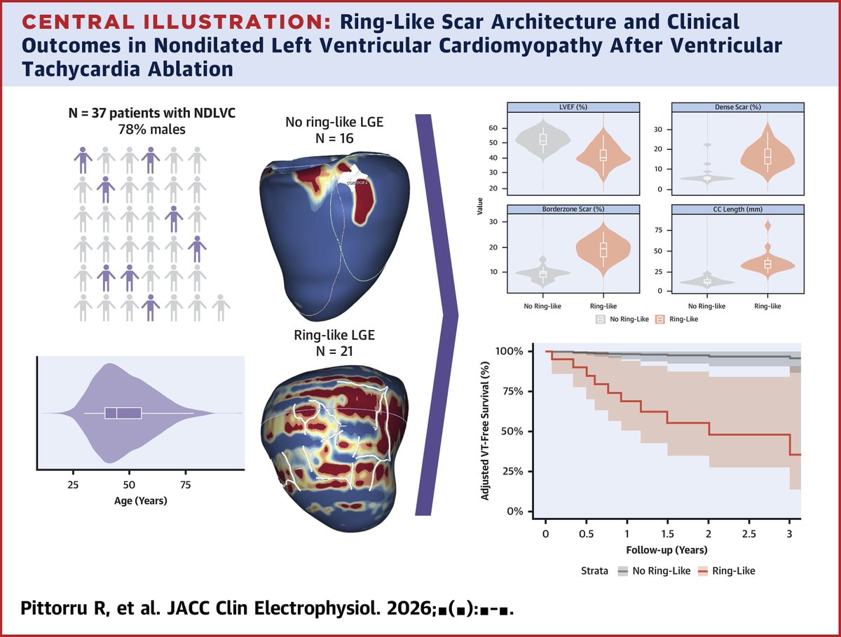 ivroca's tweet photo. Our last publication in @JACCJournals JACC EP: Ring-like pattern in NICM: agressive pattern and higher recurrence rate after RF. Understanding VT substrate with imaging. Real need for improvement. Good job of our senior fellow @RaimondoPi4757 @hospitalclinic @aportasanchez 

https://t.co/KrMybxQv3G