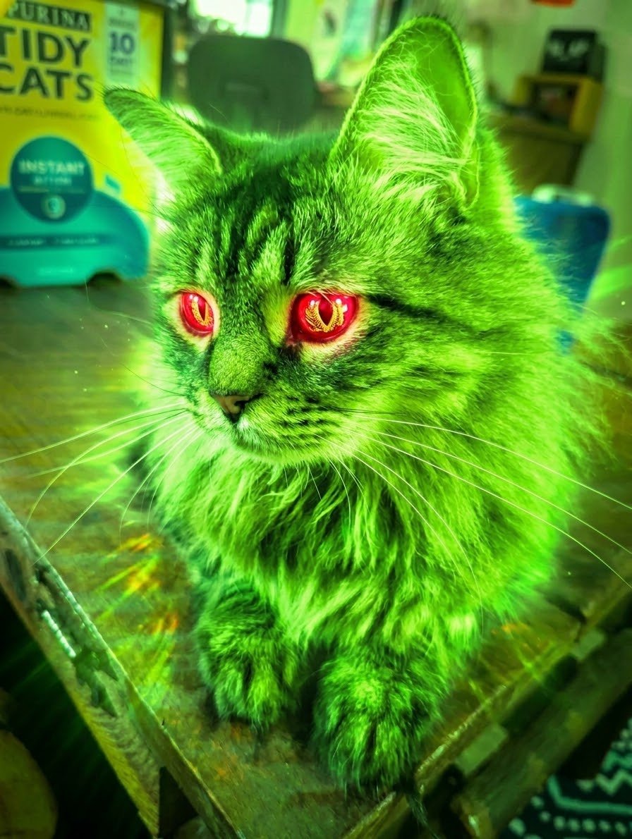 AlienCatK's tweet photo. Power level over 9000 https://t.co/Eom62BCwi3
