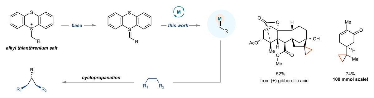 ritter_lab's tweet photo. In @Nature, we show that alkyl thianthrenium salts can be used as metal carbene precursors with a great safety profile! Iron- and copper-catalysed cyclopropanations (even on 100 mmol scale!), bond insertions, rearrangements — alkyl–TT salts do them all! 

https://t.co/9K19ESb29M https://t.co/s5WFL3bd3M