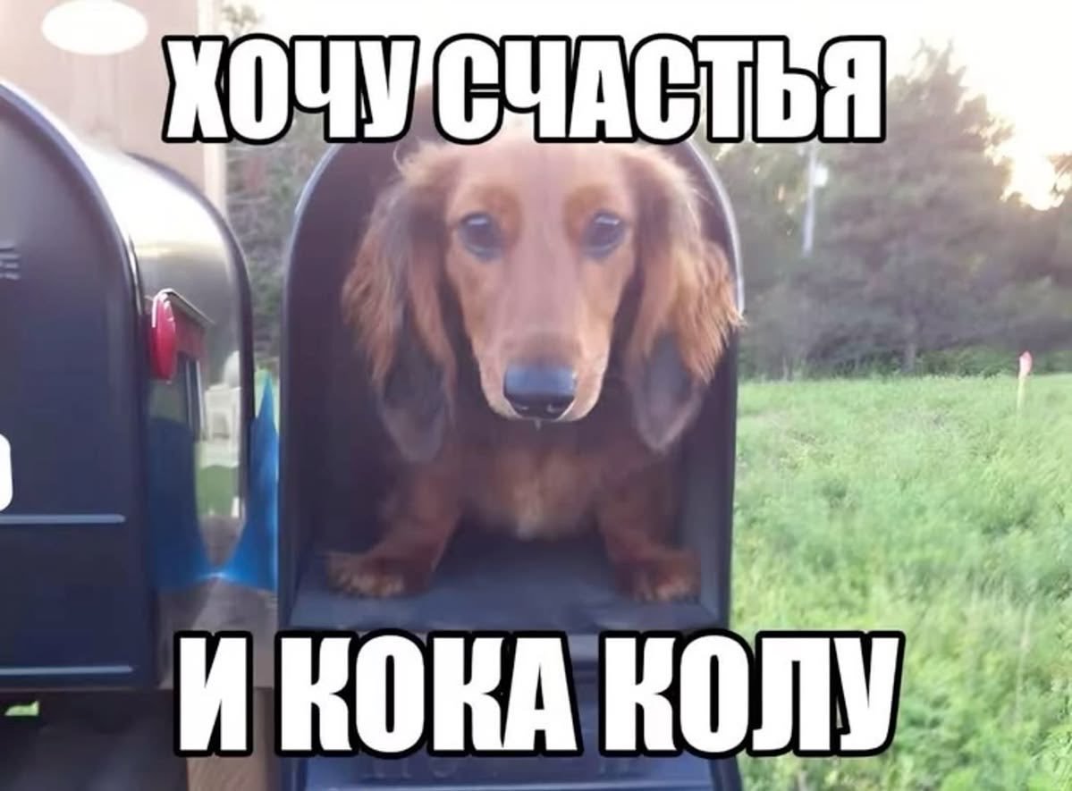 VShokeSiju's tweet photo. @Qwentisd Ета мы все тута https://t.co/doaiIQ4tRo