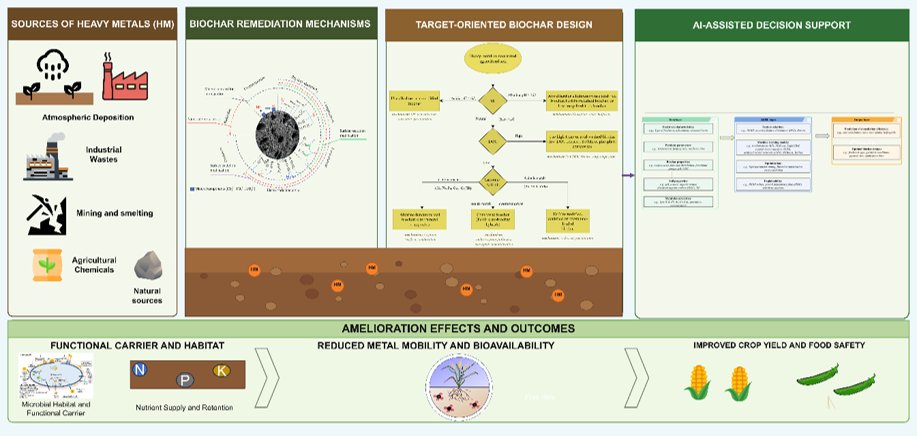 BioResJournal's tweet photo. Biochar can immobilize #heavymetals—but performance varies. This review links remediation mechanisms to #biochar design, soil biology, &amp; AI-assisted decision tools for more reliable, site-specific strategies.

Read more: https://t.co/f2pQ2iymEo

#BioResJournal #SoilRemediation https://t.co/5LoN47yvdx
