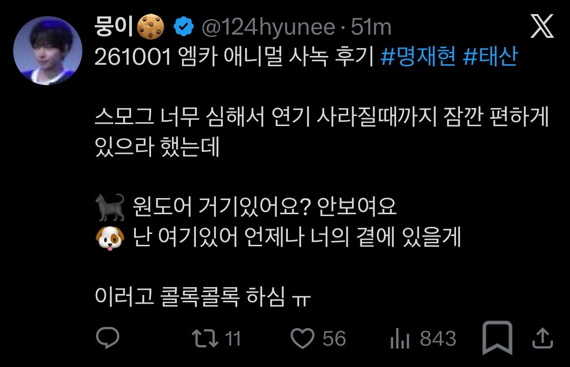myungdding's tweet photo. ddingdongz are so cute 🥺💖

they used stage smoke during the performance and since everywhere was filled with severe smoke they asked everyone to stay still for a bit until it disappears

🐈‍⬛ onedoor, are you there? i can’t see you
🐶 i’m here. i’ll always be by your side. just bc you can’t see me it doesn’t mean i’m not by your side!