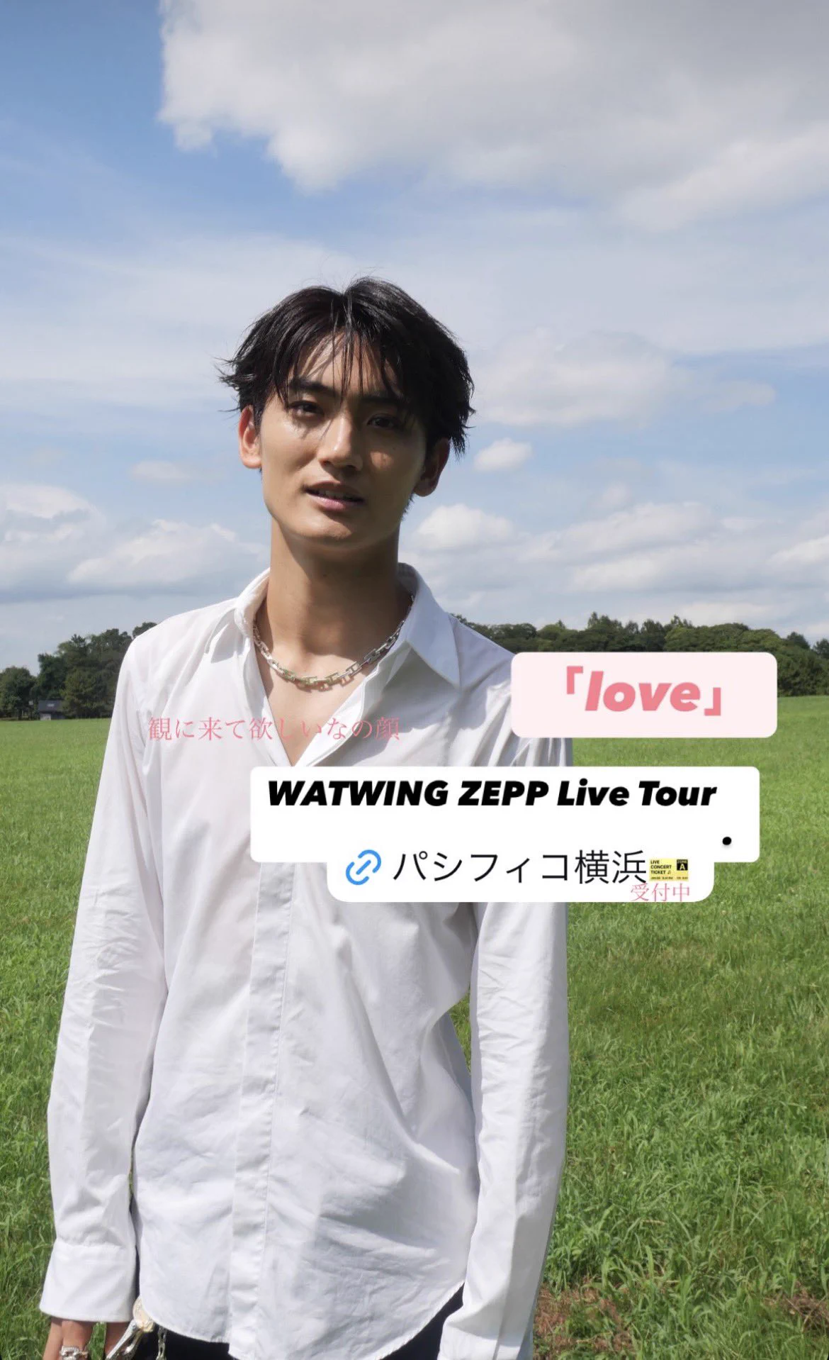 yoshi（よっちゃん🌹） on X: 