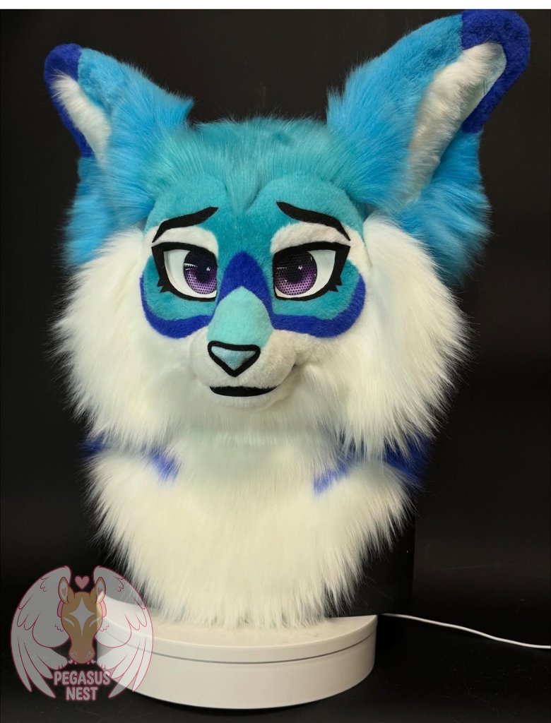 pegasusnest's tweet photo. Commission complete!Fursuit partial
Excellent breathability
Fits heads up to 23» in circumference
Plastic teeth
Soft lips
Moving jaw!
Plush nose
Plush tongue on velcro
VERY soft and furry fur!
A comfortable, plastic base!
#fursuitmaker #fursuitfriday #fursuitpremade #fursuithead https://t.co/gckTAllp2B