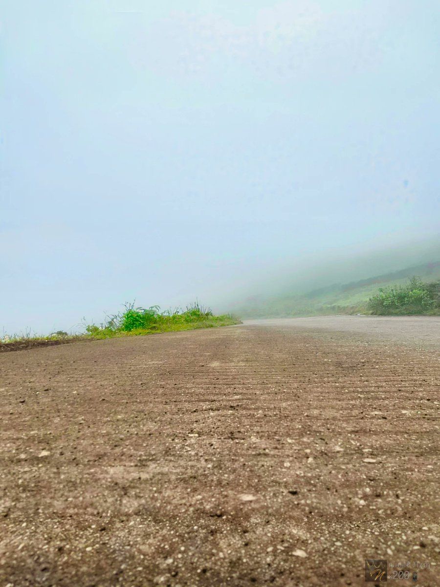 MargotCaldmc's tweet photo. Lost in the fog, found in the moment. https://t.co/wlyNF7uv1f
