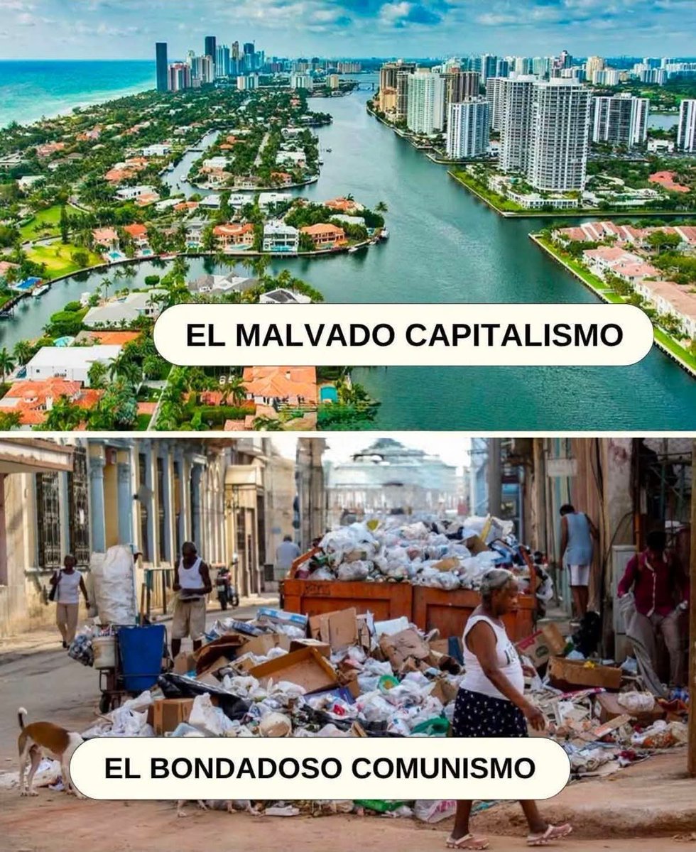 FirmeContraRojo's tweet photo. @daniel_nunez_a Acá te iría mejor en todo caso 😉 https://t.co/VFYH8N2PL9