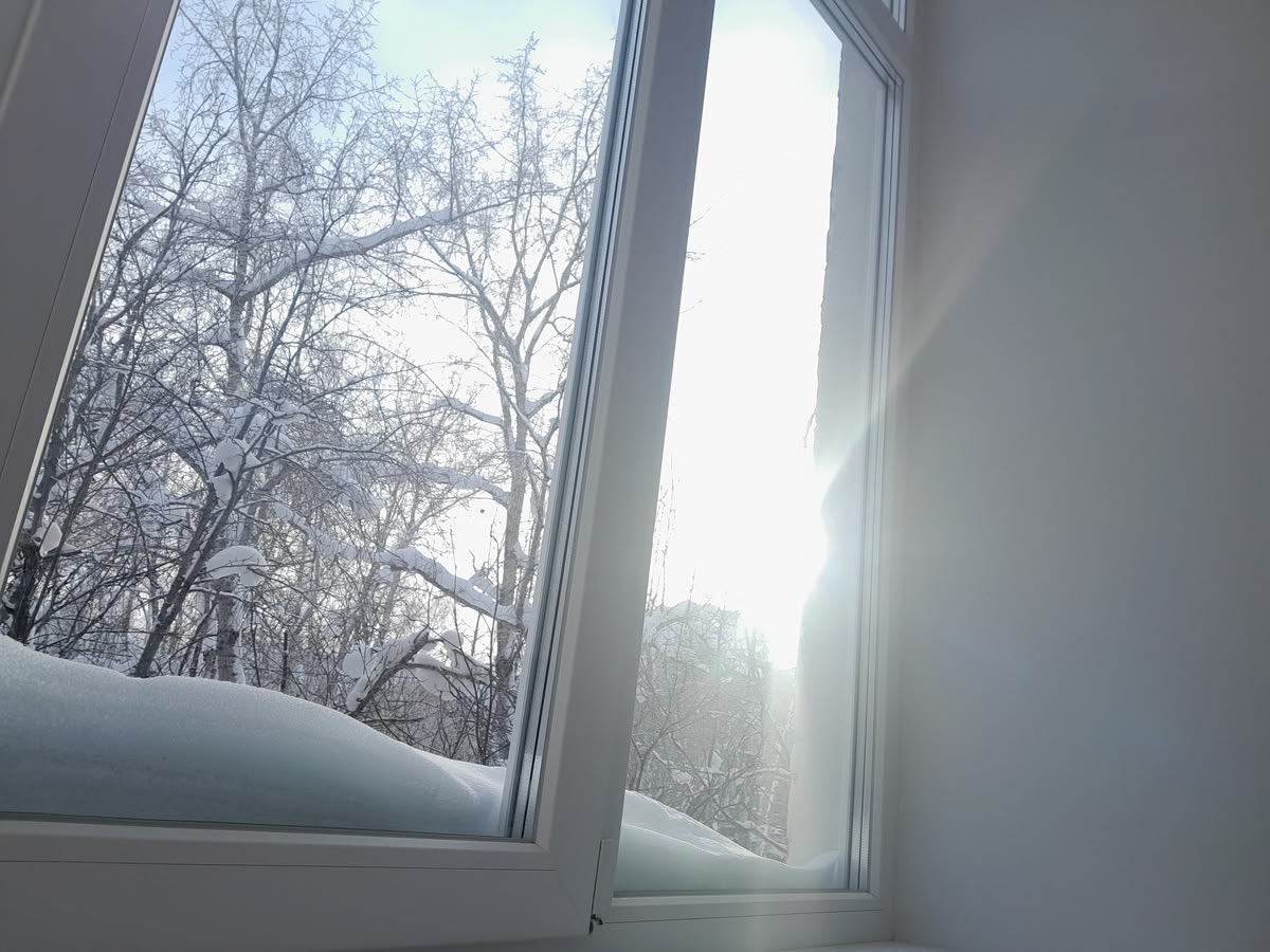 iglooicicle tweet picture