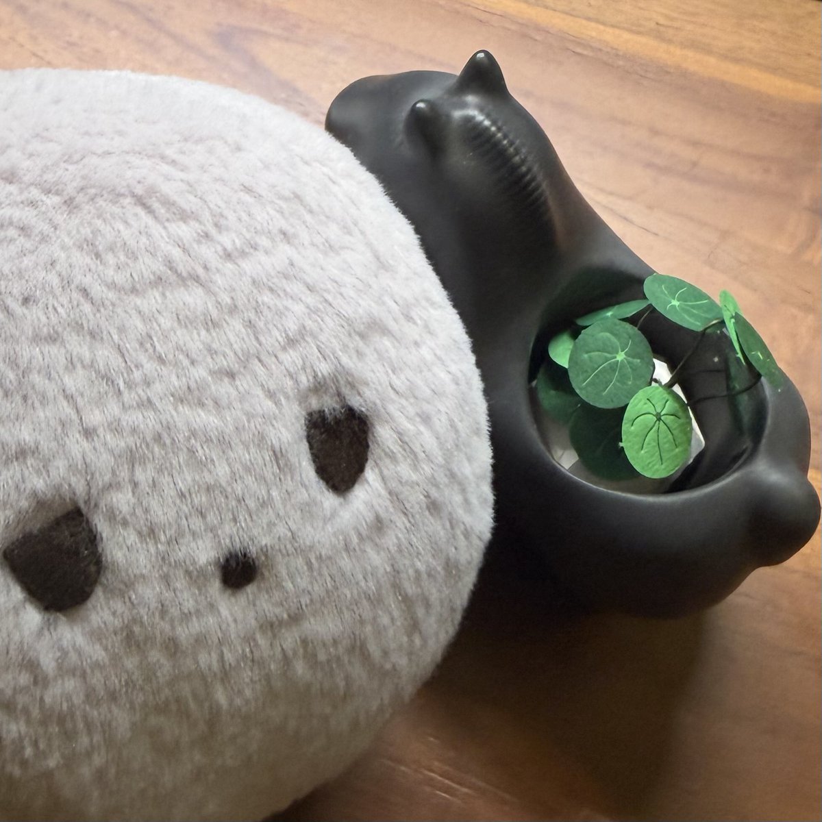 OumuaXDFP's tweet photo. 感謝來參加聖儀的航星者們！非常療癒的時光 https://t.co/7COMQDoVJl