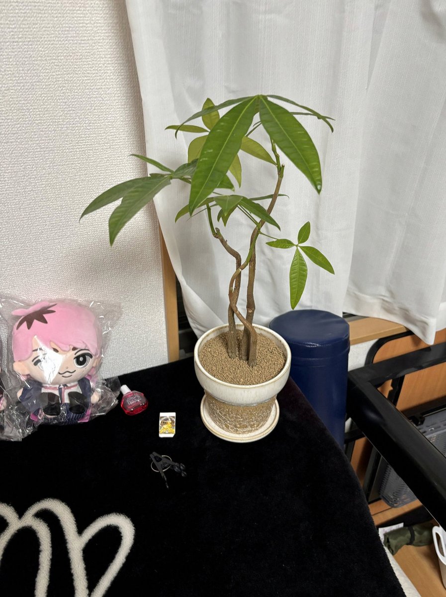 DrMCashin's tweet photo. 色んな方面で、コロワクが原因だとしないようにしてるにしか見えないんだな⋯
とりあえず疑って「違う」ってことならまだ良いのに⋯
何度でも言うけど、コロワクのmRNAの技術は人類初のものだから、実例は何もないから、副作用として製薬会社が認めてることは、疑わないと⋯ https://t.co/R92EmC2IMr