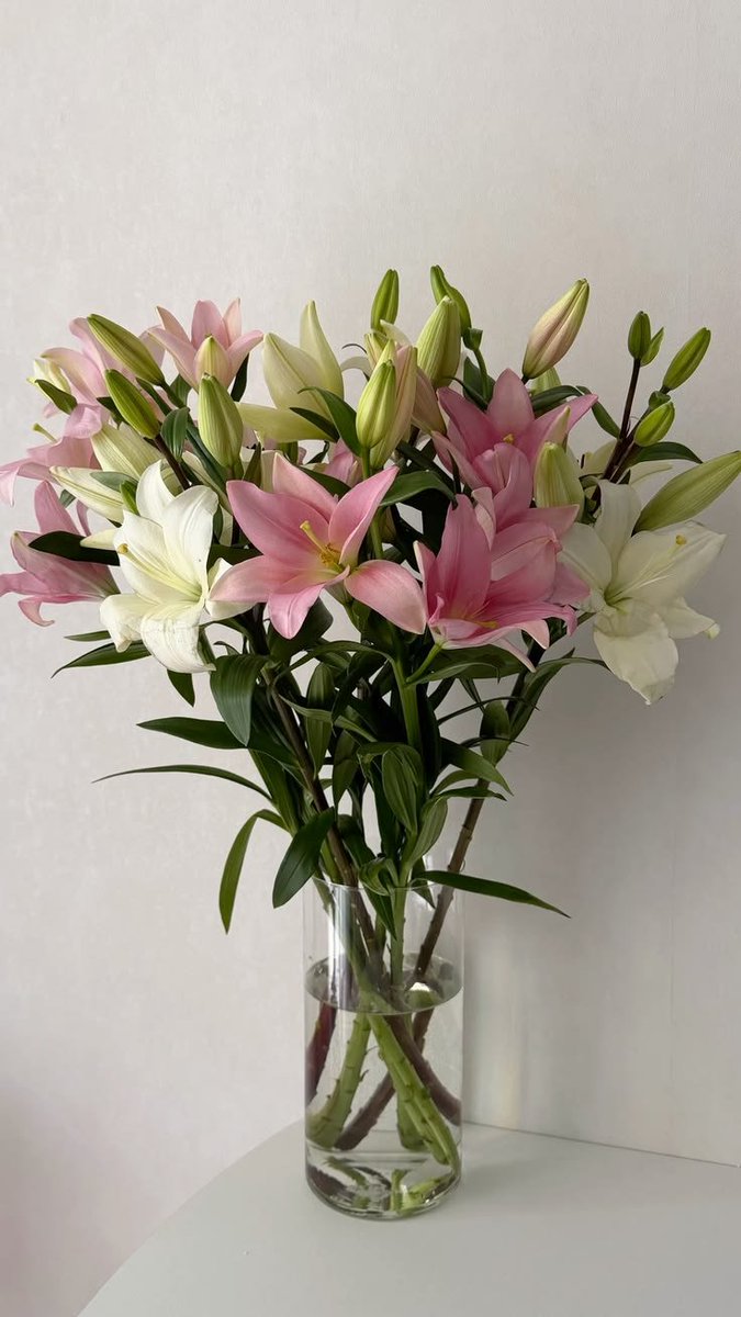calmnesz's tweet photo. https://t.co/INaFwz6NXc
