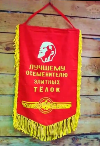 GorSS20's tweet photo. Былые награды.. https://t.co/vbyoOqCqdL