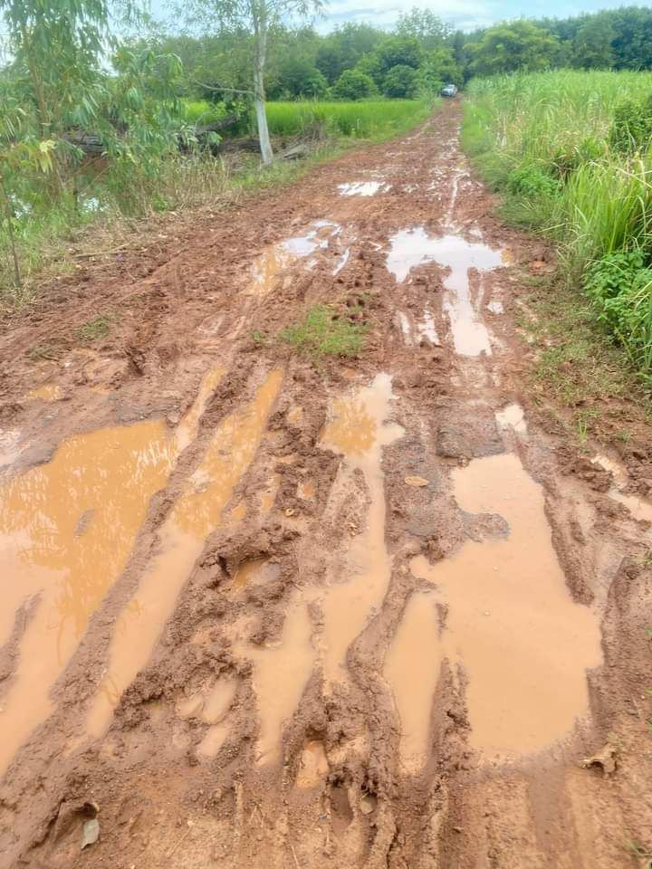 clever301's tweet photo. Which is worse: 

Dry season or rainy season? https://t.co/iVAhEeqsq6