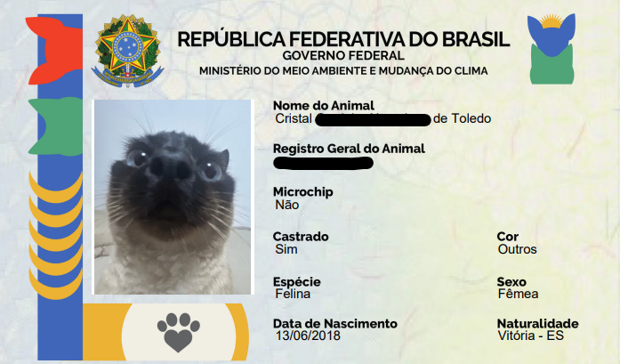 muctoledo's tweet photo. ela tem até documento https://t.co/AcQrH67Oil
