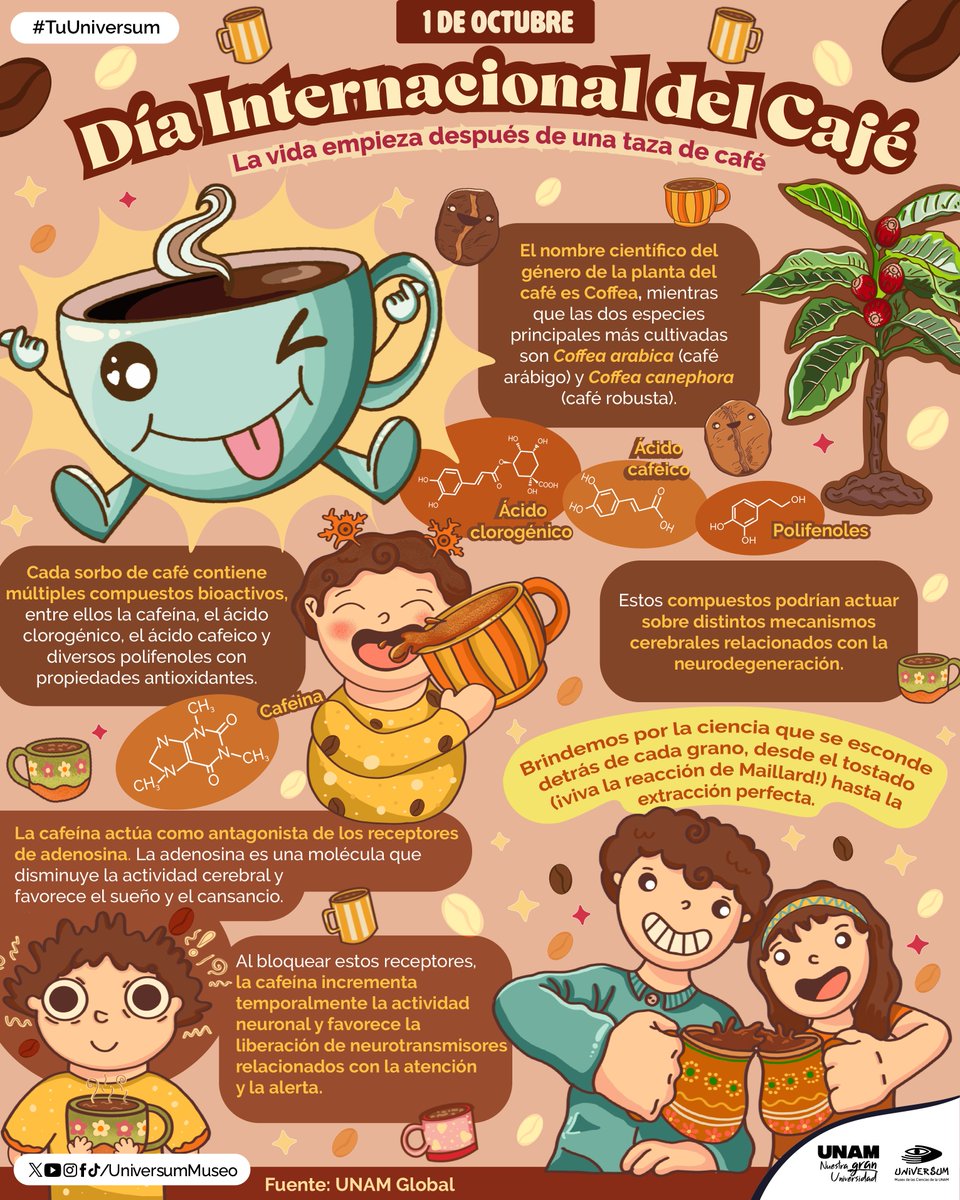 UniversumMuseo's tweet photo. La vida empieza después de una taza de café. ☕️

#TuUniversum https://t.co/FOIOA5s9g9