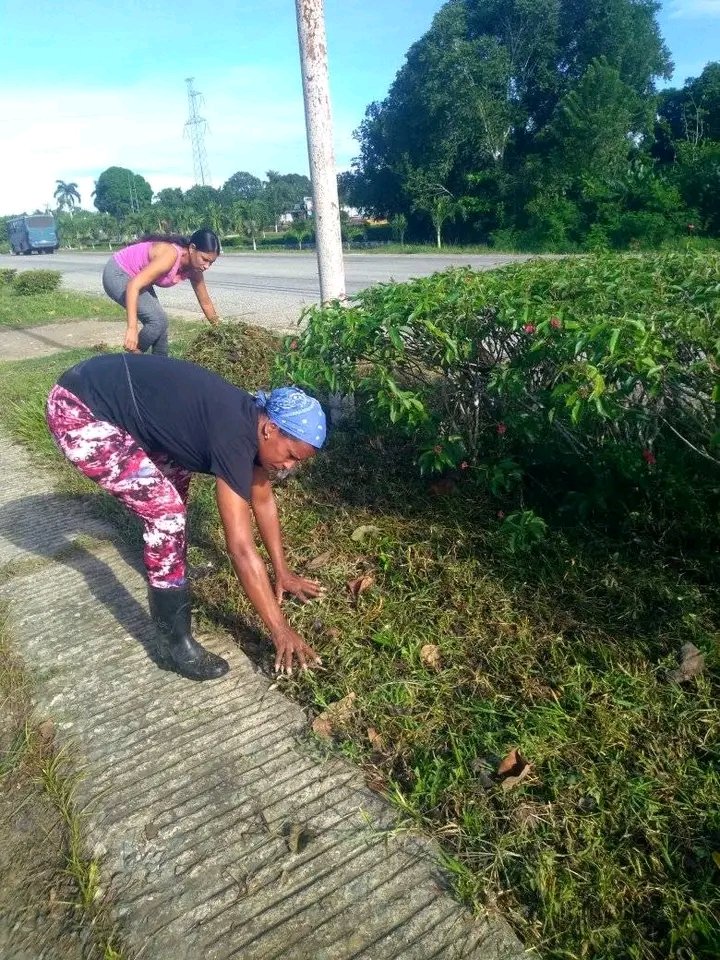 MildreyDelis's tweet photo. Un barrio limpio no se espera ,se hace ,así lo demuestran los cuadros de la FMC  del municipio San Luis en la provincia #SantiagoDeCuba
#MujeresEnRevolución 
#MiBarrioPorLaPatria https://t.co/aUFfxouAmh