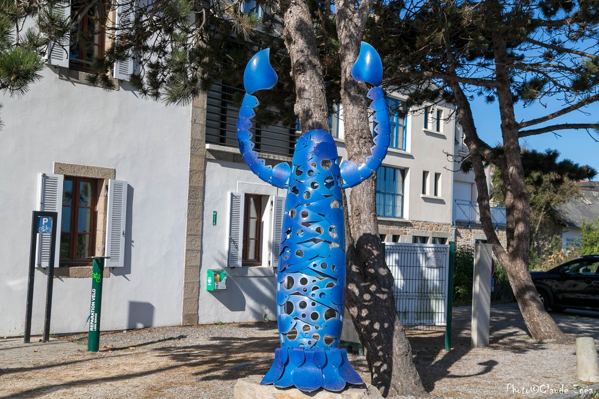 bloomdolly697's tweet photo. Homard bleu.... Homard heureux https://t.co/msBsHxo6G9