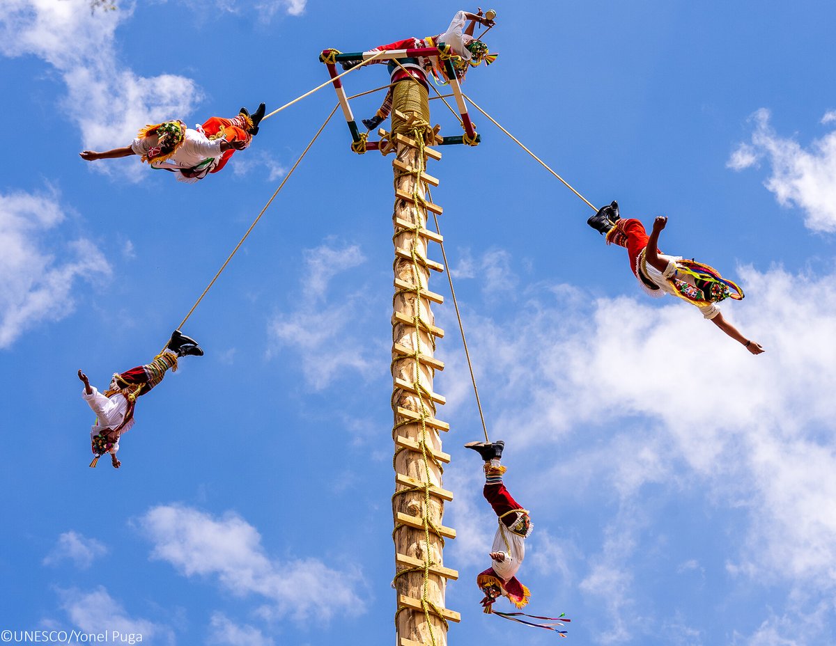 UNESCOMexico's tweet photo. Hoy, hace 17 años, la Ceremonia ritual de los Voladores se inscribió en la Lista Representativa del Patrimonio Cultural Inmaterial de la Humanidad de la UNESCO: https://t.co/AU7PASojHx
... 🧵 https://t.co/WoNq42Yewt