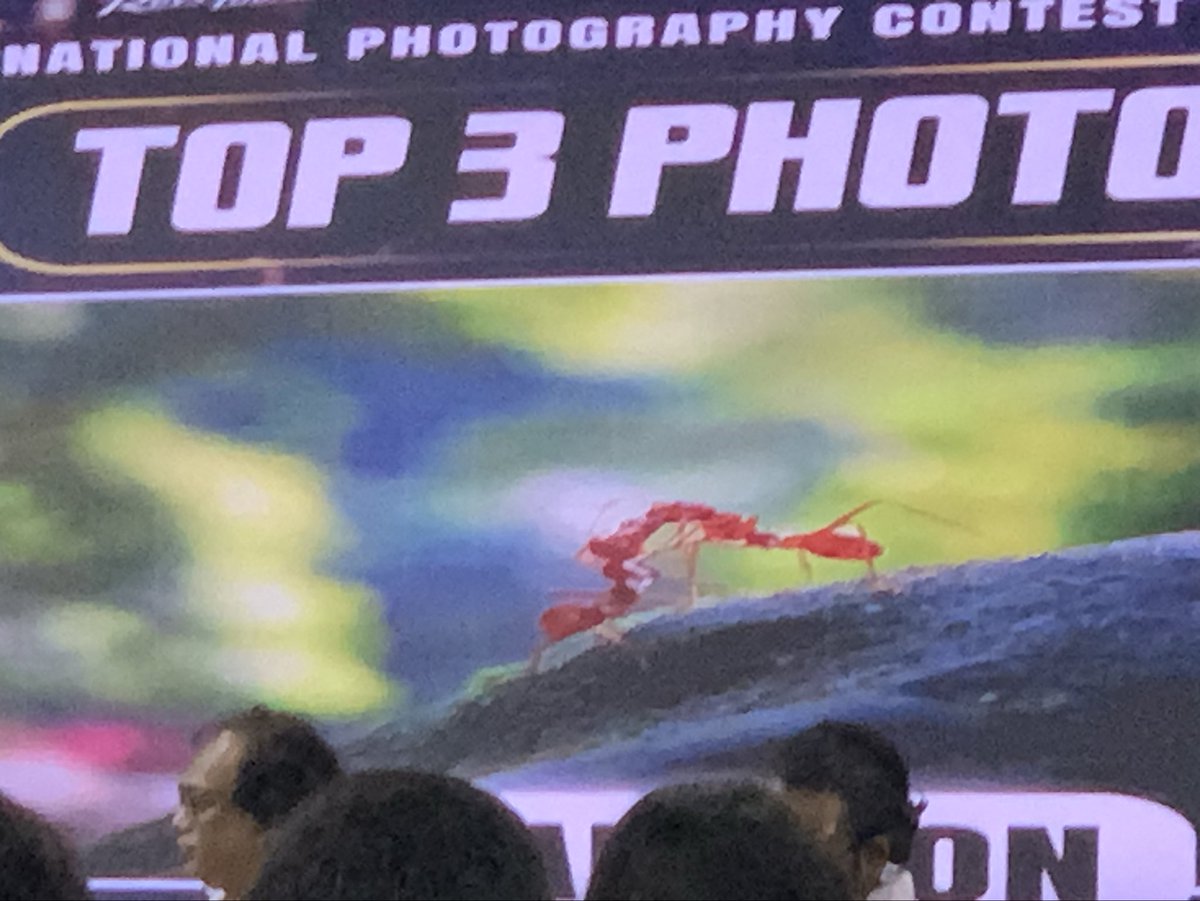 BDNSMedia's tweet photo. 𝐍𝐚𝐭𝐢𝐨𝐧𝐚𝐥 𝐏𝐡𝐨𝐭𝐨𝐠𝐫𝐚𝐩𝐡𝐲 𝐂𝐨𝐧𝐭𝐞𝐬𝐭 𝟐��𝟐𝟔!

Champion: Tajim Uddin
Textile Engineering College, Zorargonj Chattogram

​1st Runner-up: IMRAN PARVEZ
Patuakhali Science and Technology University
​
 Second Runner-up: MD ROKIBUL HASAN
@MoJoJamil 
#jmcmediabuzz2026 https://t.co/Xx7qGqHeTz