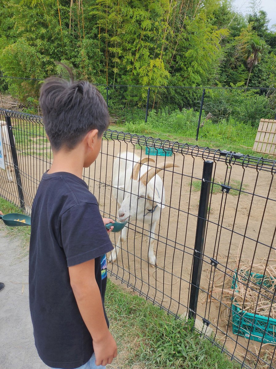 MpitanaSello's tweet photo. ふと思い立って、レイトショーで2回目のマッチングを観に行くことを決めました🥀
楽しみだ✨️ https://t.co/SCEadpa3DO