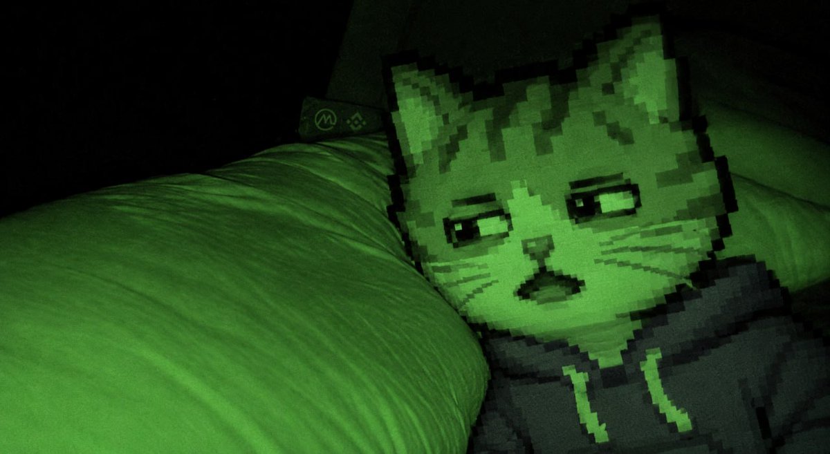 _CoinMarketCat's tweet photo. cat szn soon... https://t.co/GFmAhGeiNd