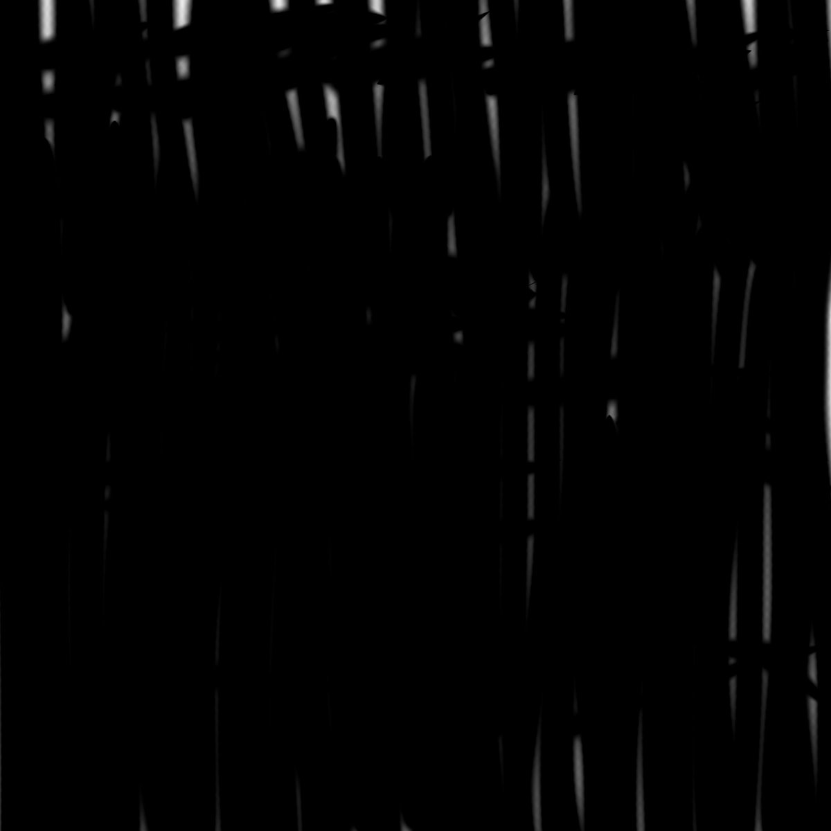 b4sabina's tweet photo. #Black https://t.co/OtjMKCgaAp
