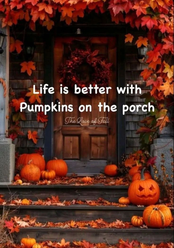 ayekillzs_'s tweet photo. 🎃🎃🎃 https://t.co/pOQtRr3wlU