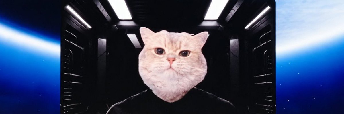 ansemlowcapp's tweet photo. The HOOD Summit villain became a cat.
The chain became a battlefield.
$VRAX is live.
Commander Vrax reporting for duty. https://t.co/gg59vzvpOH