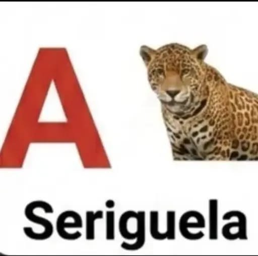 hlyskyle7's tweet photo. Meu dia foi exatamente assim https://t.co/McpgLQJaaO