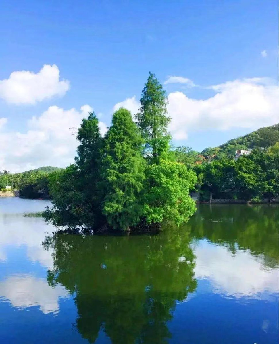 hakooshi_1's tweet photo. Today I climbed the Anba dam, the natural secondary forest here is so lush and refreshing! https://t.co/P199fjvaxH