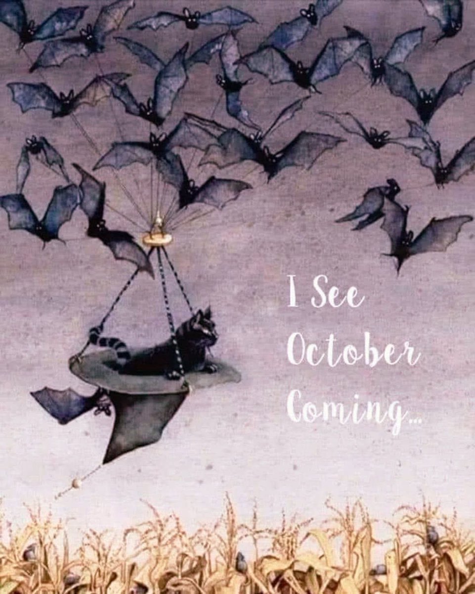 DJTommyRocks's tweet photo. "I see October coming ... Happy October Eve"!
ππββ¬π¦ππππ±πππ»π¦πββ¬π
#ISeeOctoberComing
#HereComesOctober
#HappyOctoberEve
#ItsOctoberEve #OctoberEve
#ItsAlmostOctober
#October #OctoberVibes https://t.co/XqnBQAH4Wc