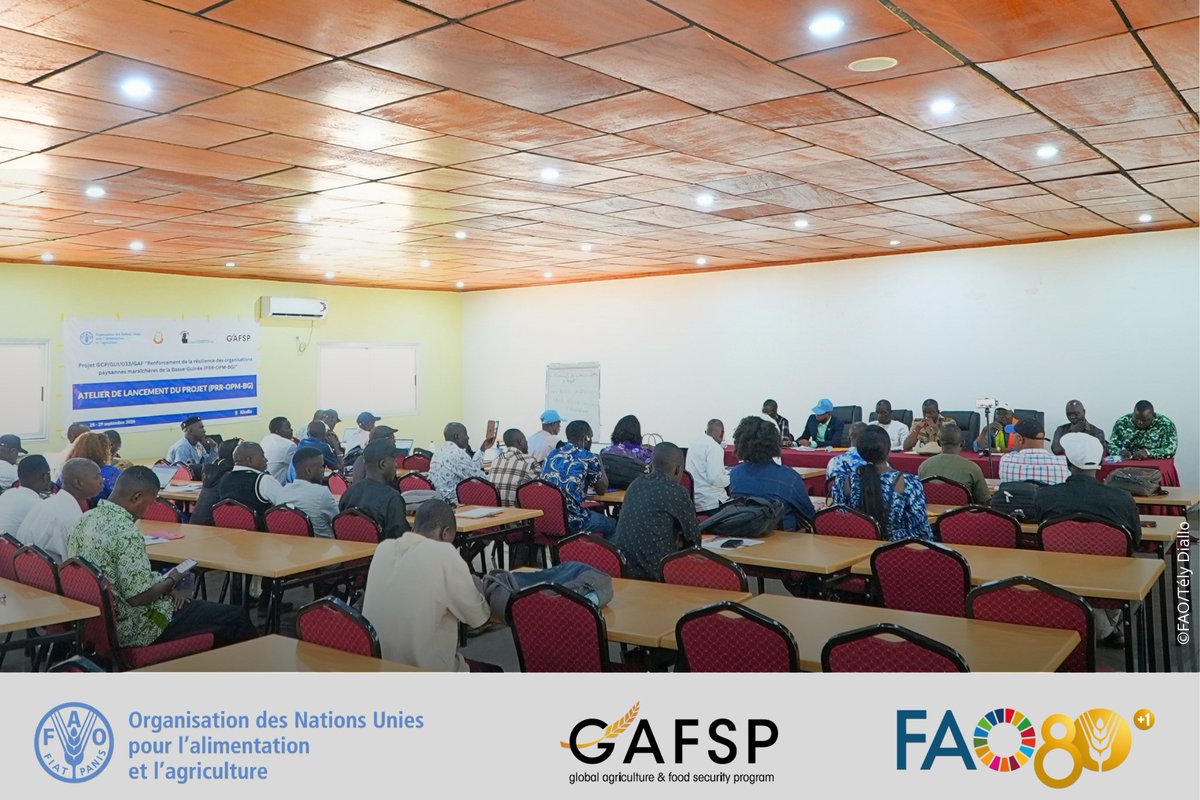 FAOGuinee's tweet photo. FAO @minagrign &amp; #FOPMA_BG ont lancé le projet de Renforcement de la Résilience des Organisations Paysannes Maraîchères B. Guinée
✅Formalisation 2⃣0⃣0⃣ org. paysannes
✅Pise en place 2⃣0⃣0⃣Champs Écoles Producteurs
✅Irrigation solaire
✅Pratiques agroécologiques résilientes https://t.co/QUd17iL9Bj