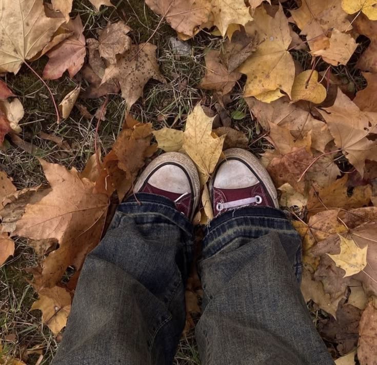 permeabilitea's tweet photo. omadtober accountability 🍂🪾 https://t.co/hNWwRJhLMi