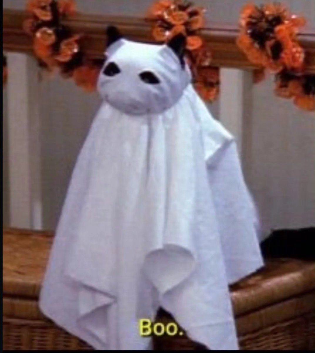 Mamitalatina19's tweet photo. #spookytime #Halloween #autumn https://t.co/s8h20to8ih