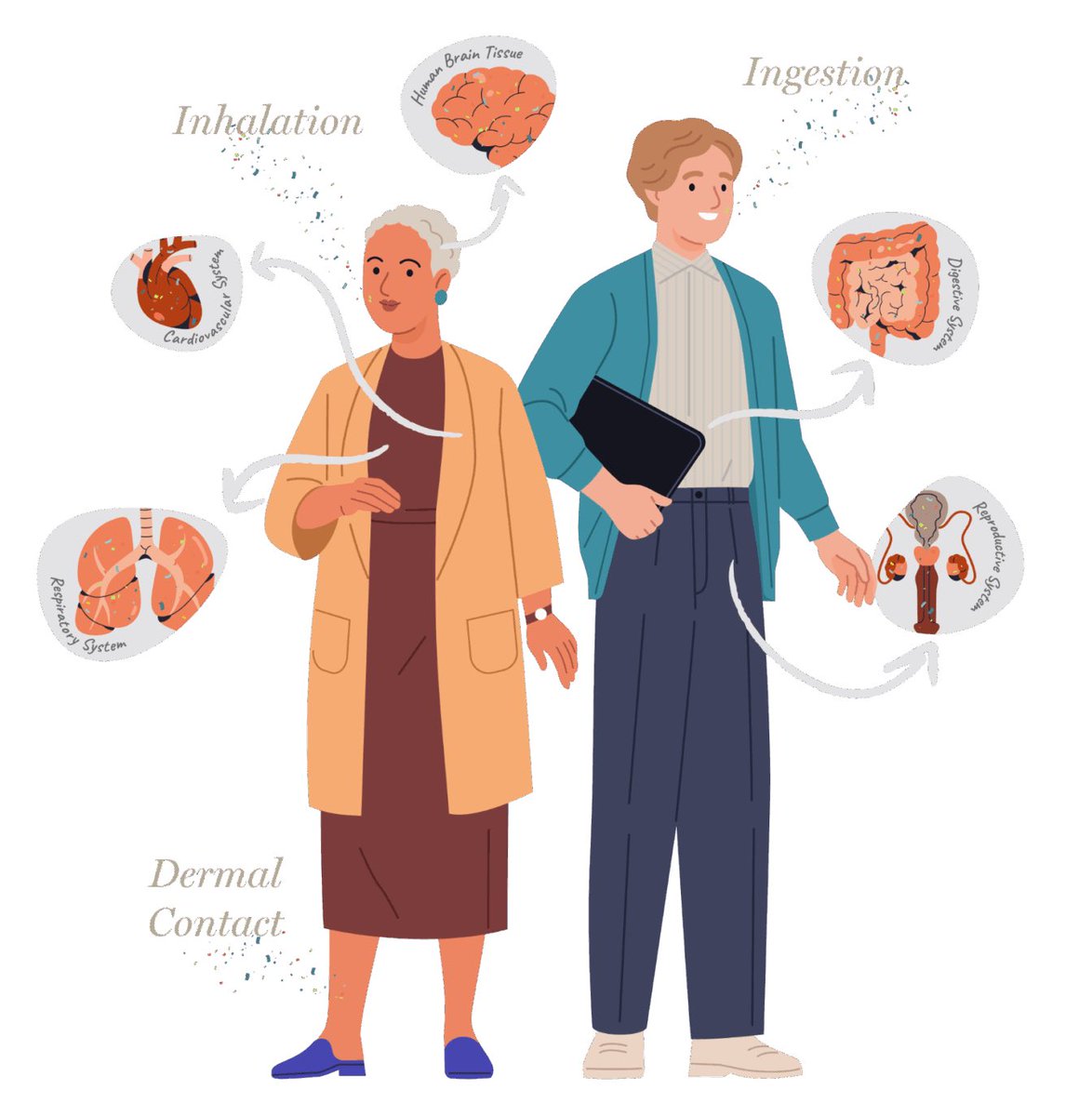 EllaMatyas's tweet photo. Did you know that microplastic exposure can cause hormone disruption, inflammation, and cardiovascular risk? Researchers have found microplastics in humans’ digestive, reproductive, respiratory, and cardiovascular systems, as well as human brain tissue. #plasticpollution https://t.co/pVIkiyBBrL