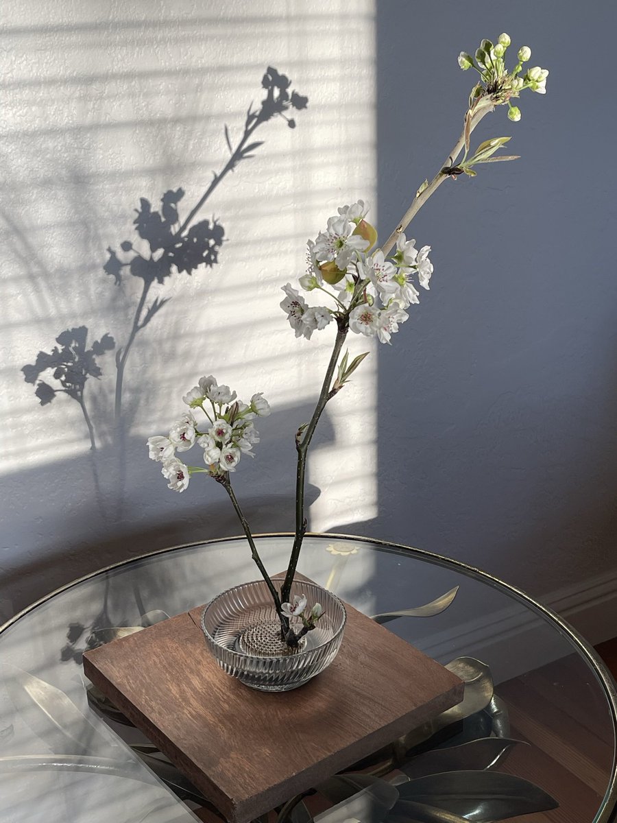65otai's tweet photo. the most simple ikebana arrangement https://t.co/2HRyEn4fen