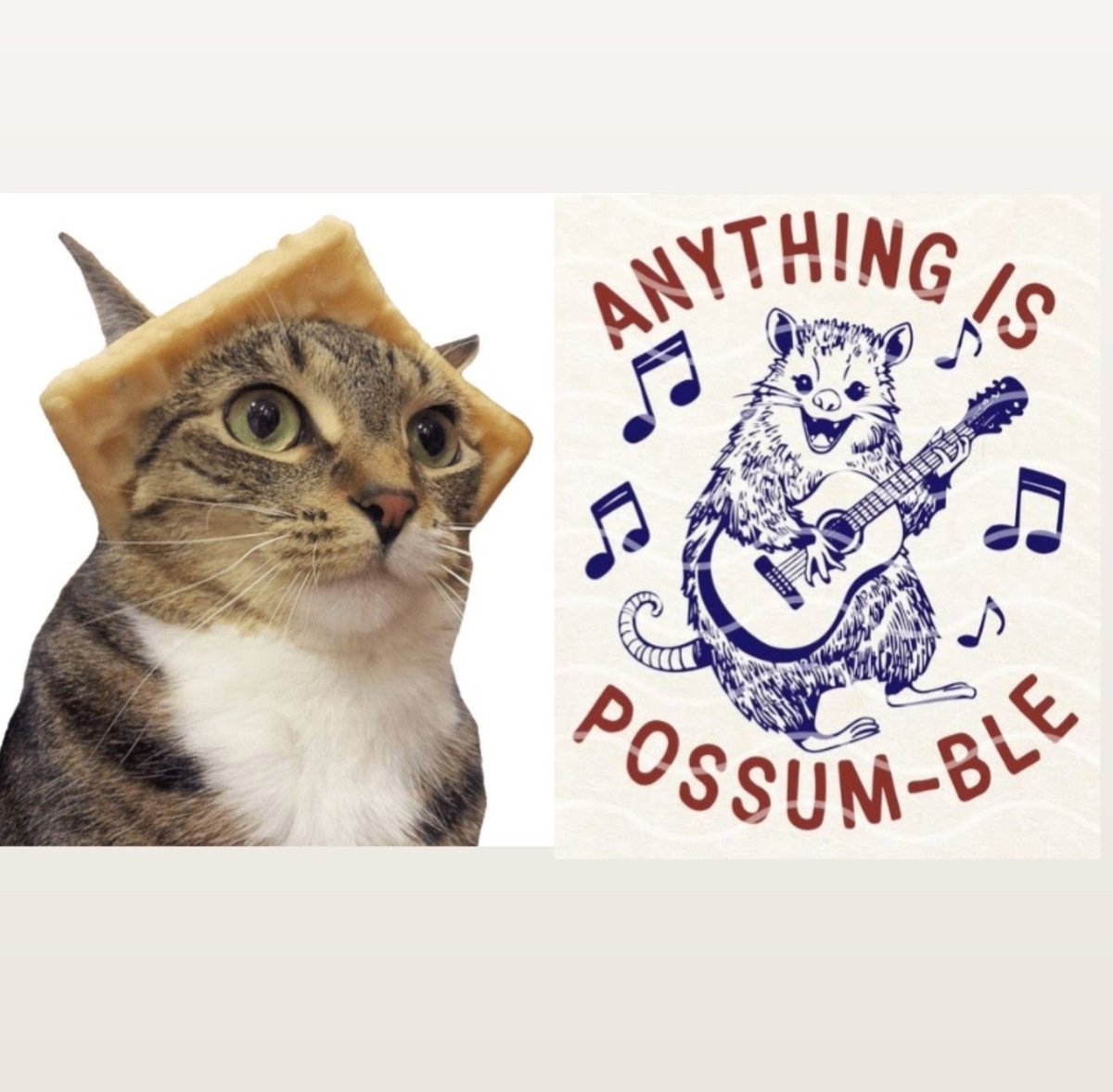 downbadABI's tweet photo. THEY WANT YOU TO THINK SHE'S EVIL... MEANWHILE THESE ARE THE STICKERS SHE USES ON HER SOURDOUGH🤏🏼😭😭😭😭 https://t.co/kZGzcNw84G