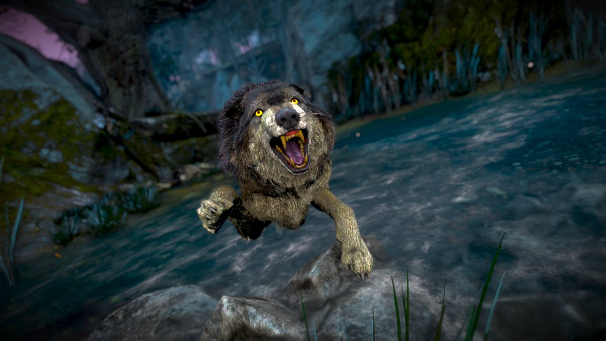 Jambo_110's tweet photo. Some more photos ive captured in the witcher 3

#witcher3 #photomode #gaming https://t.co/2NpkqyOpyZ