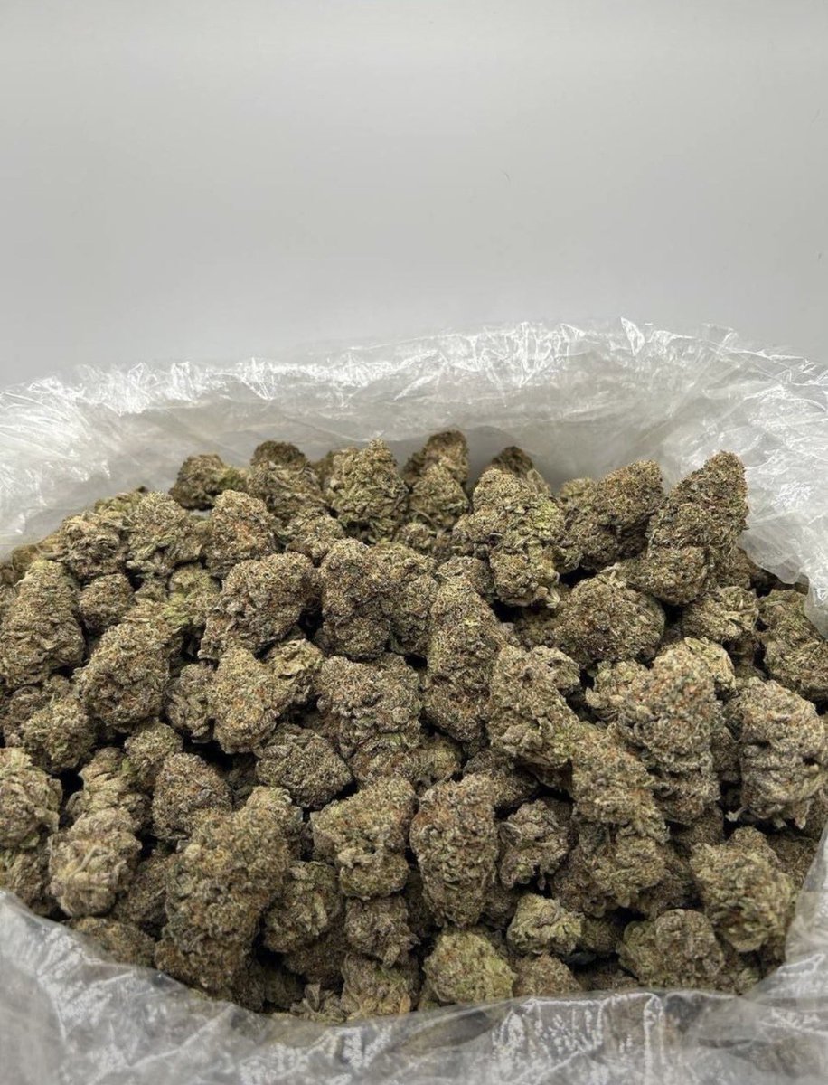 Dcosmickush's tweet photo. Maclato 😈
By jungle boyz 🌴
🎟 $450

AVAILABLE IN BIT N BULK 📦
☎️ORDER ON WHATSAPP 
https://t.co/g2tsX5Au7p

NEED SOMETHING ELSE?
SHOP ON MY DISCORD 🏪https://t.co/RwzZfO1n3C https://t.co/kHHkb5J9hZ