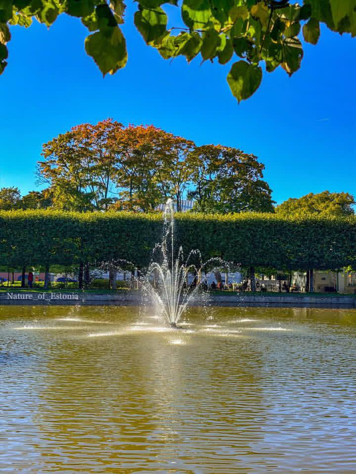 WorldCityX's tweet photo. Kadriorg Palace and Garden 🏰🍁 https://t.co/jSn92dPwNx
