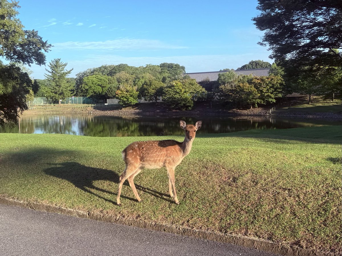 NknsMtyk's tweet photo. 🦌☀️おはようございます🦌☀️👍👌😃
今日は晴れ☀️気温19℃半袖では寒いです今日から10月🔟頑張りましょう
10月もよろしくお願いします🙇‍♂️☀️🦌👍👌😃 https://t.co/CNC4JeaFAT