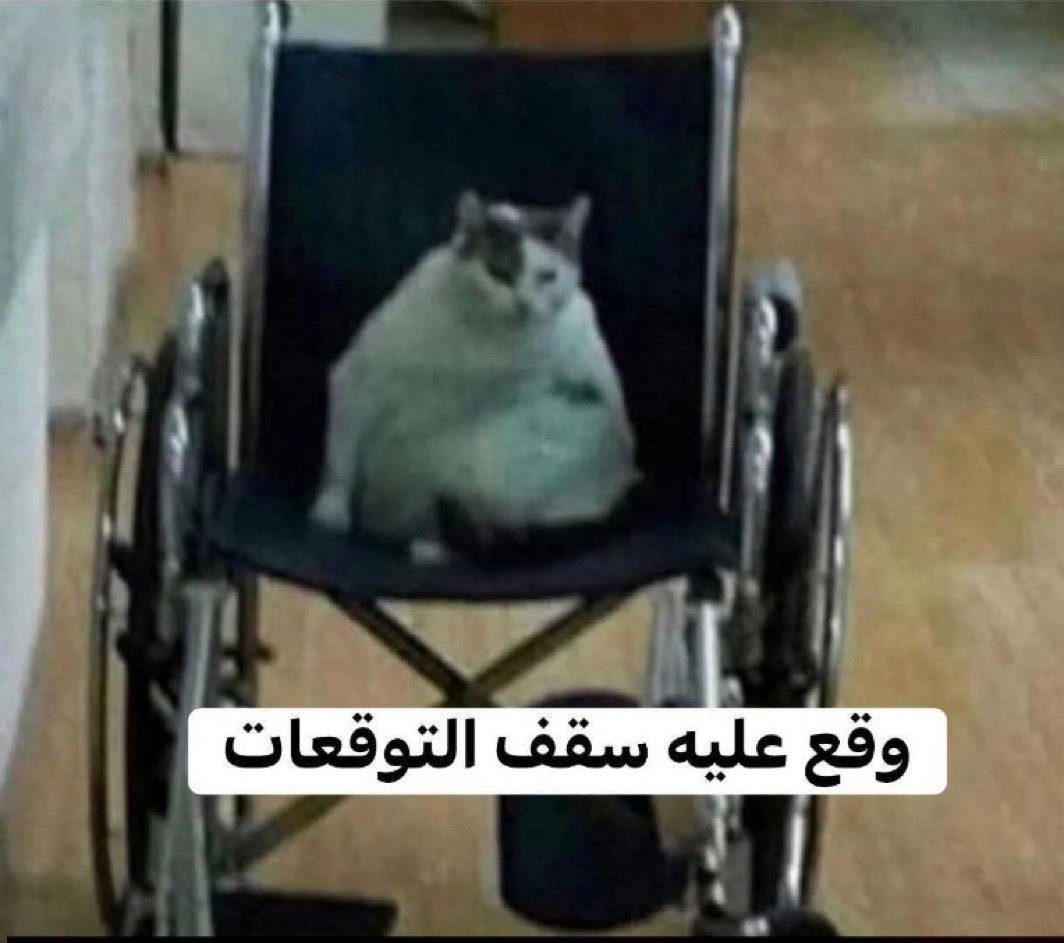 lev38x's tweet photo. اللي كانوا يبون مشهوراتنا يتكلمون ولما تكلموا وقفوا ضدنا https://t.co/6VOOeLa8tk