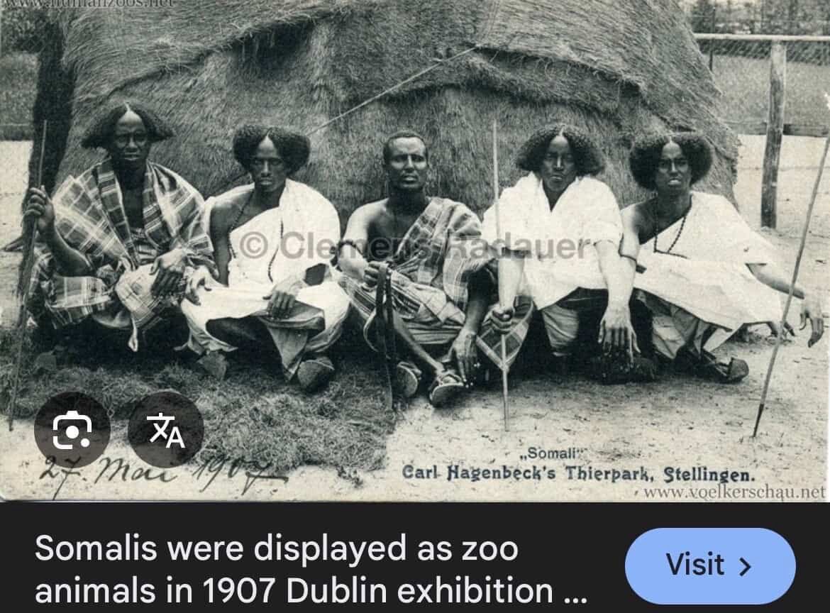jewzb5v's tweet photo. @Heisenbergg1015 Somalis are always humiliated. They were in human zoos that’s why they’re called zoomali. https://t.co/AJo65u2NCe