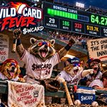 Photo by Wild Card Bill (@WildCardFever)