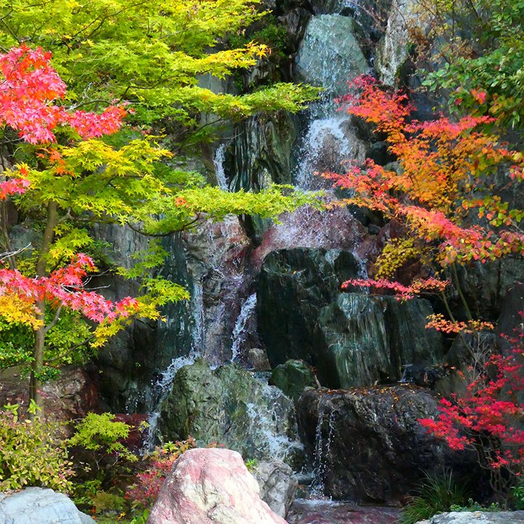 Japanin_jp's tweet photo. Senseki Garden (Senjin-Otaki Waterfalls)
©Higashihiroshima City
https://t.co/NO7RN4aMTy
#japan #japantrip #explorejapan #traveljapan #localjapan #instajapan #japaninjapan #日本 #giappone #japon #japantour #japantravel https://t.co/SMtEkgkbGe