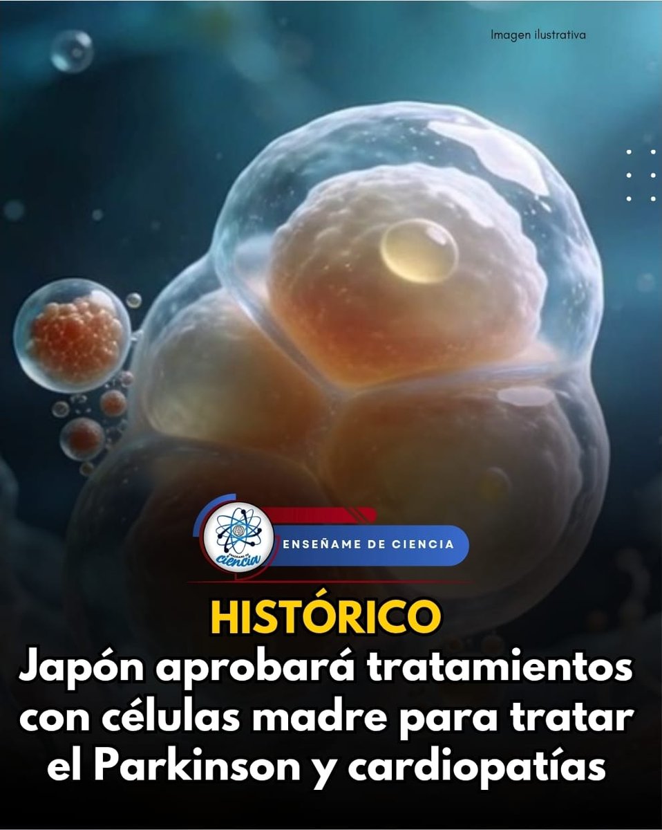 EnsedeCiencia's tweet photo. Un equipo de científicos japoneses ha desarrollado un tratamiento a base de células madre para tratar el Parkinson y afecciones cardiacas de gravedad. Lo que significa una esperanza para mejorar la vida de los pacientes aquejados por estas enfermedades. https://t.co/89TxH33YDe