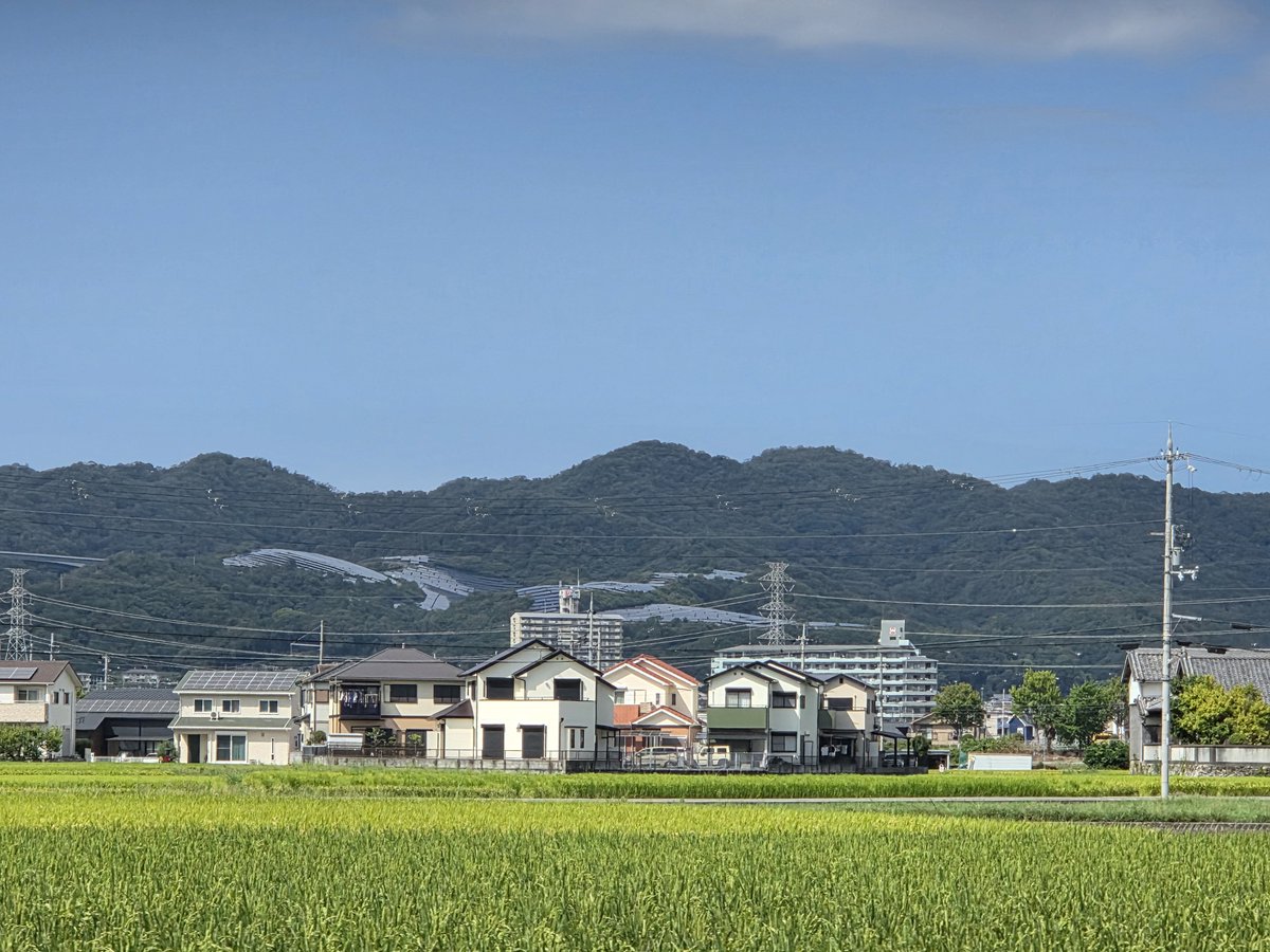 shuta_wakayama's tweet photo. 「無関心が原因？」
山に並べられたソーラーパネル。
メガソーラーの建設反対は各地で起きていますが、
建設前に知っていた人はどれくらいいるでしょうか。
#ソーラーパネル
#佐藤しゅうた 
#現場監督
#和歌山市政改革委員 https://t.co/2hKIcX9IZB
