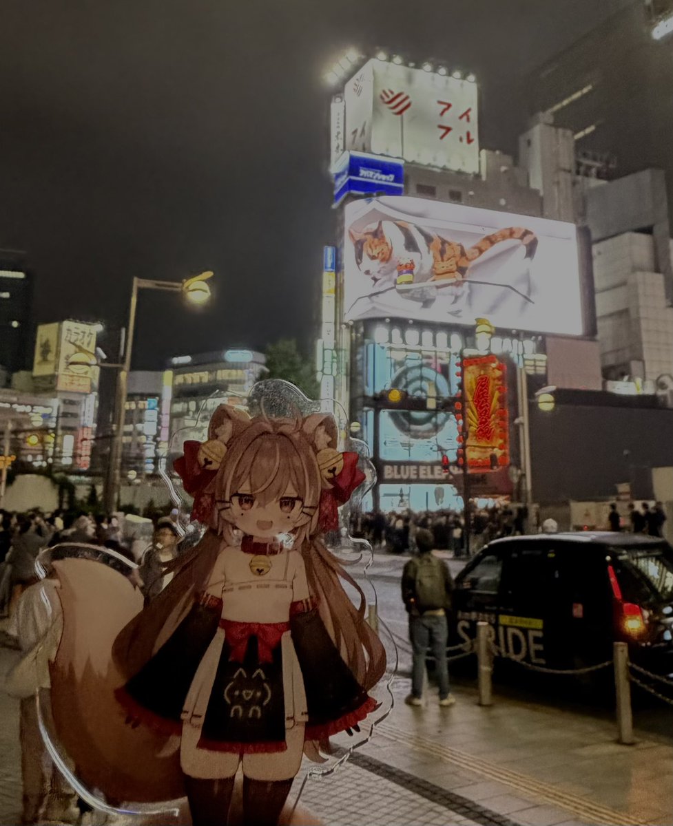 Demon_Akarin's tweet photo. munchkin cat and the big cat in shinjuku #mwocha https://t.co/m3go7pxTWy